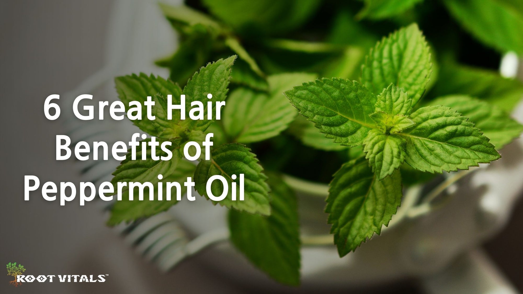 Great Hair Benefits of Peppermint Oil