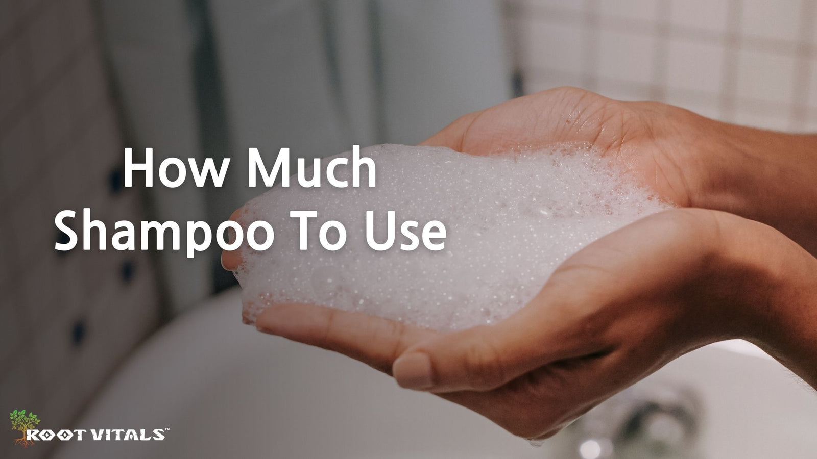 best shampoo and conditioner brands in the right quantities