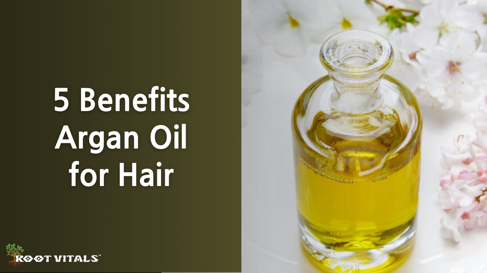 Argan oil for hair benefits to help hair grow strong and healthy